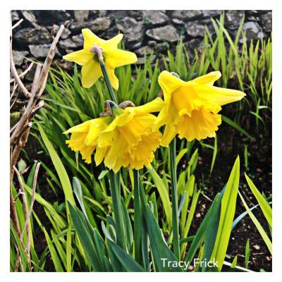 Tax planning ahead of the end of the current tax year (5 April 2022)