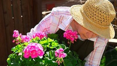 Care Sector Geared for Growth - Author Julie Hopkins