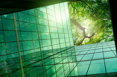 How to Achieve Your Care Home Green Strategy