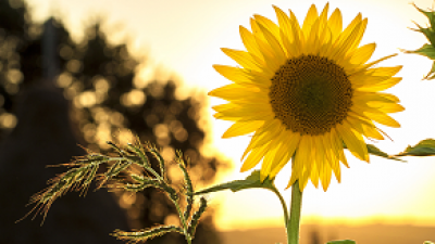 Buyacarehome & Ownacarehome Quarter Two Round Up